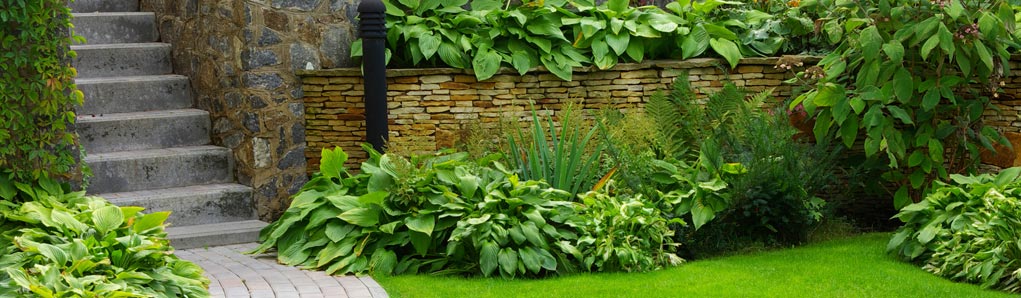 Landscaping